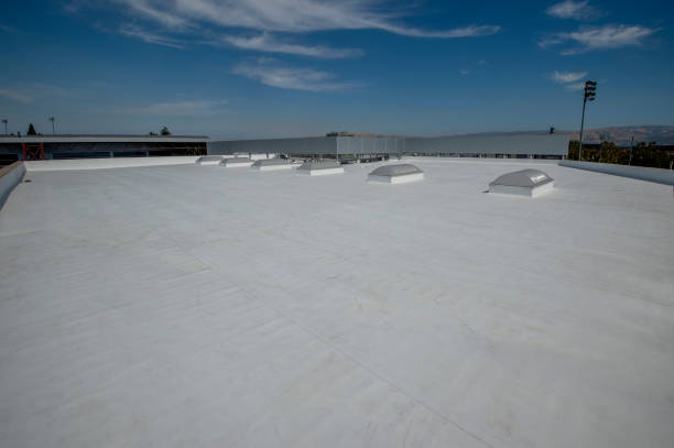 Best Roof Insulation Installation  in Cortland, IL